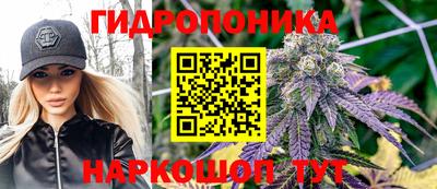 прущие крисы Краснодар